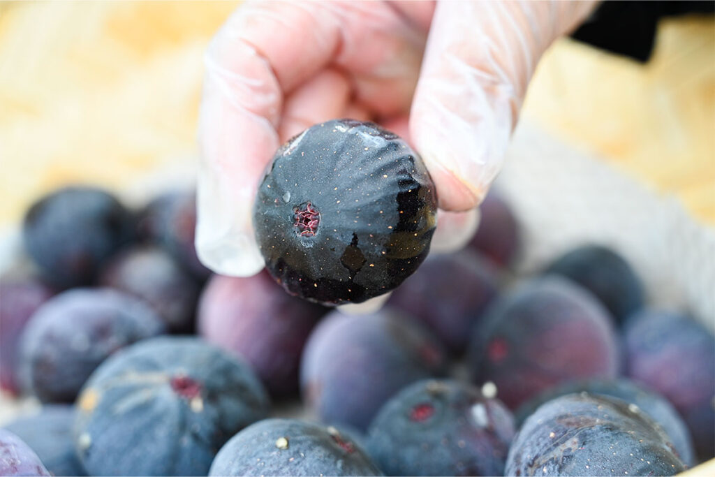 about us いちじく③