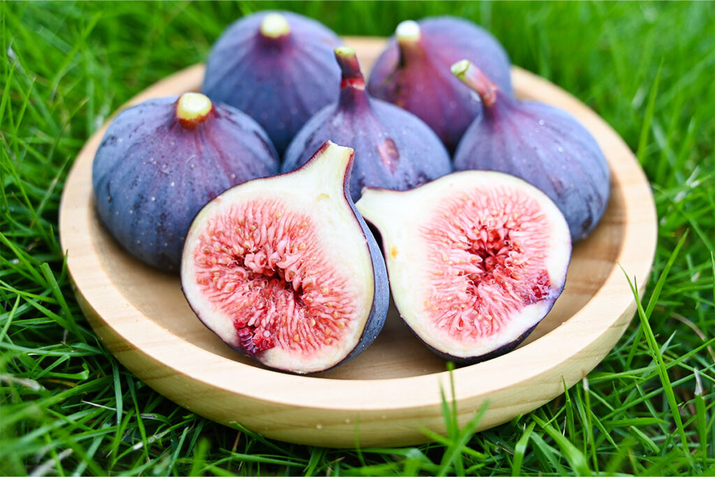 黒蜜姫（ビオレソリエス）