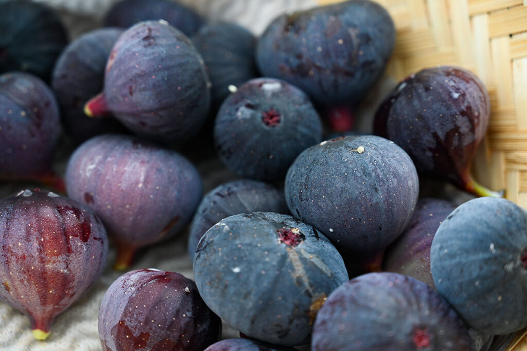 about us いちじく②