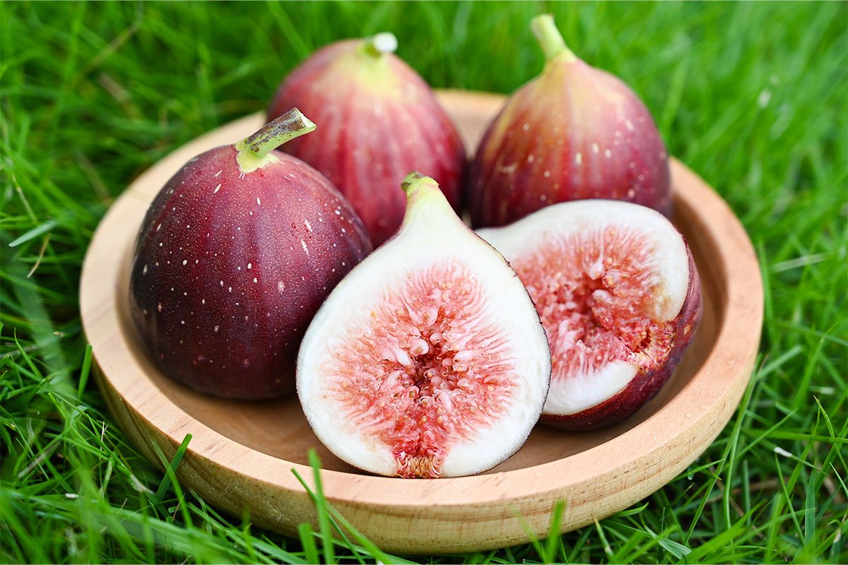 朱密姫（桝井ドーフィン）