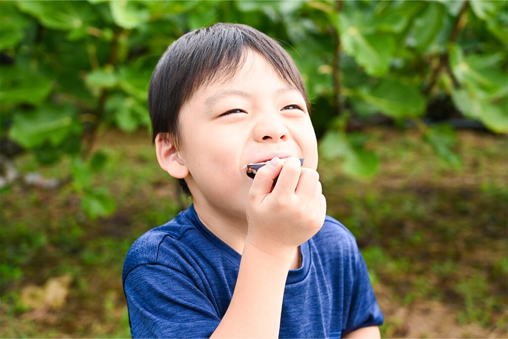 about us いちじくを食べる子ども